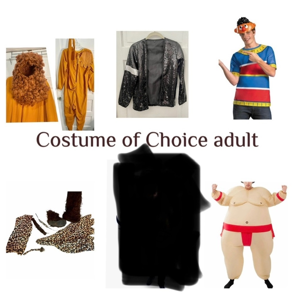 Adult Mens Costume of Choice. Price is per costume.